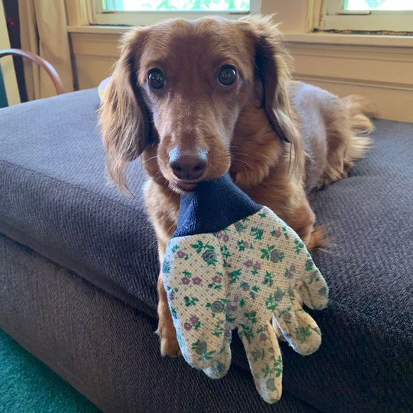 Meet your Posher, Melissa - Picture 7 of 12